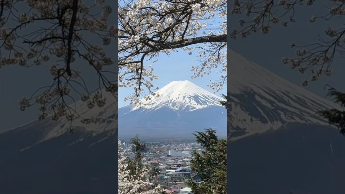 Is Mount Fuji on Your Japan Bucket List? #japan #mountfuji #travel #agent2serveu #xplorispots Is Mount Fuji on Your Japan Bucket List? #japan #mountfuji #travel #agent2serveu #xplorispots
