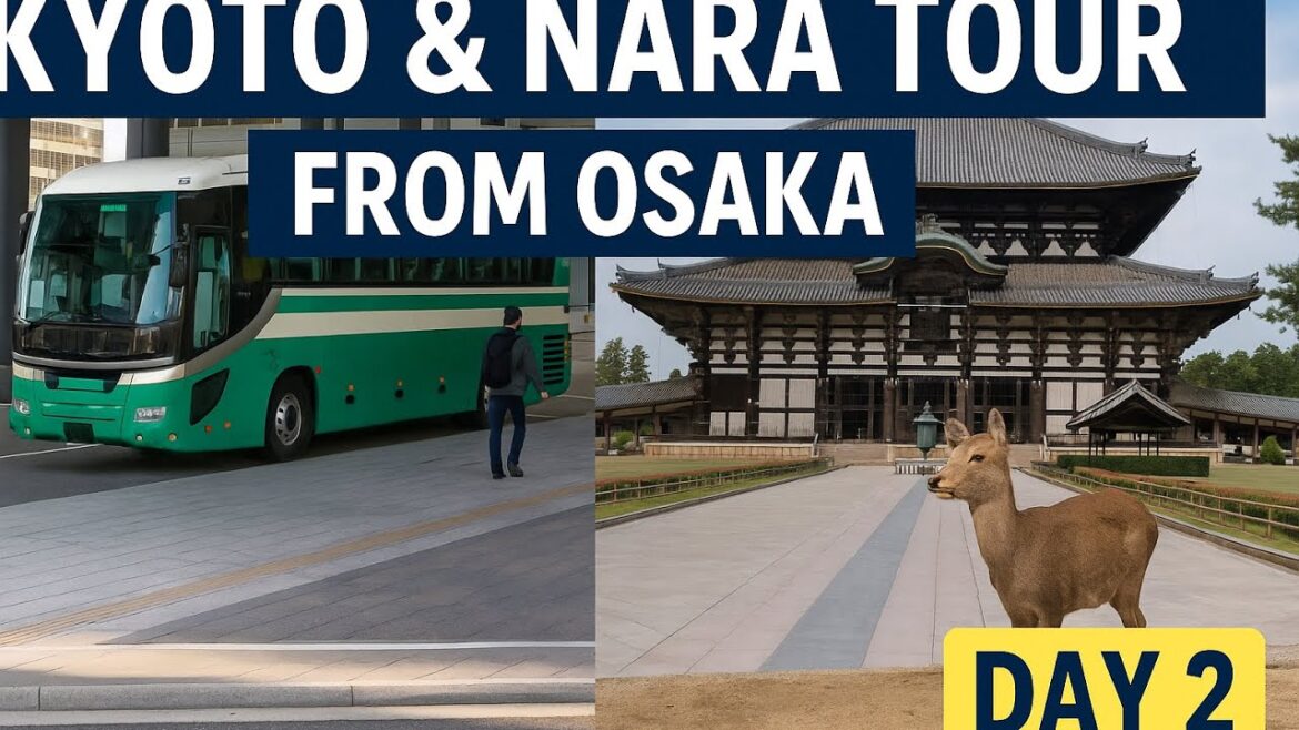Kyoto & Nara Tour from Osaka | Day 2 Japan Vlog – Highlights & Travel Tips! Kyoto & Nara Tour from Osaka | Day 2 Japan Vlog – Highlights & Travel Tips!