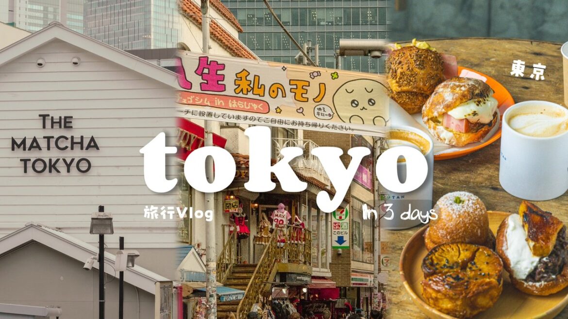 Tokyo Food & Shopping: Best bakeries, diners and cafés + teamLab Borderless | Japan Travel Vlog Tokyo Food & Shopping: Best bakeries, diners and cafés + teamLab Borderless | Japan Travel Vlog