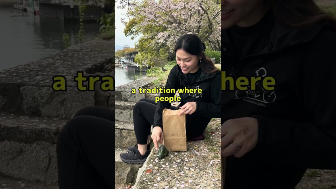 The best picnic place in Hiroshima（Ohanami）