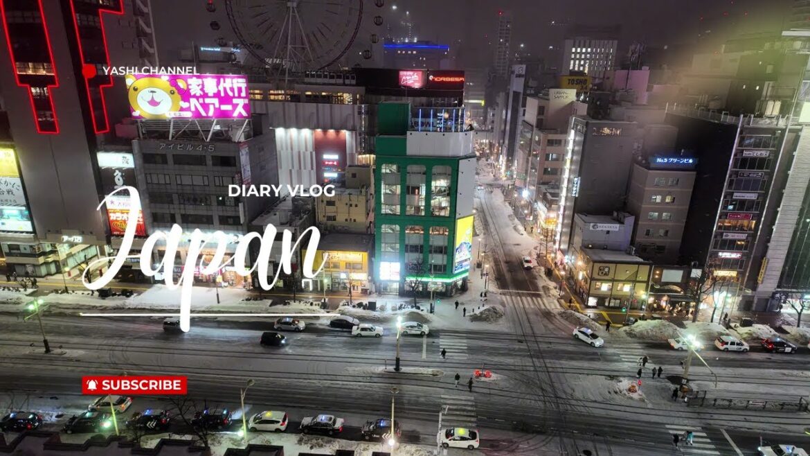 Hokkaido Snow/Arashiyama Zoo Tour/Delayed Flight  - Japan Diary Vlog 🇯🇵