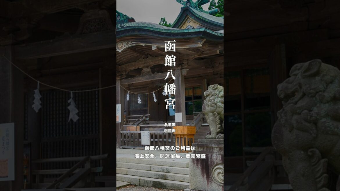 函館八幡宮｜絶景と歴史が息づく神社スポット⛩️ #函館八幡宮 #函館旅行 #神社巡り