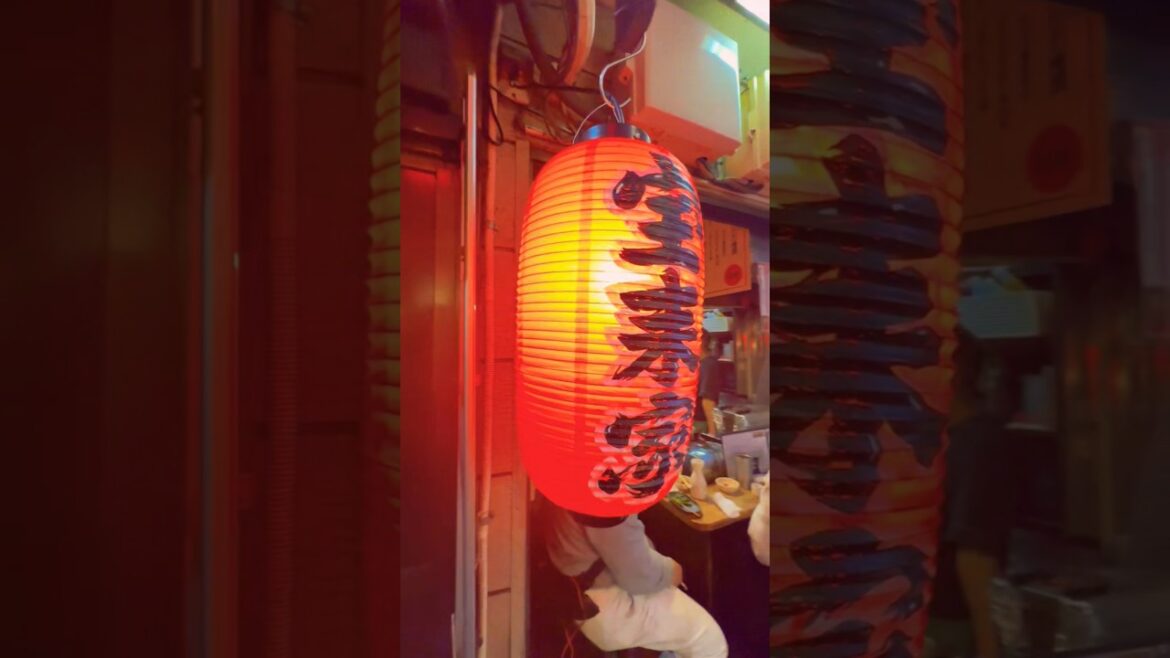 Japan 🇯🇵 #travel #japan  #tokyo #shorts #jal