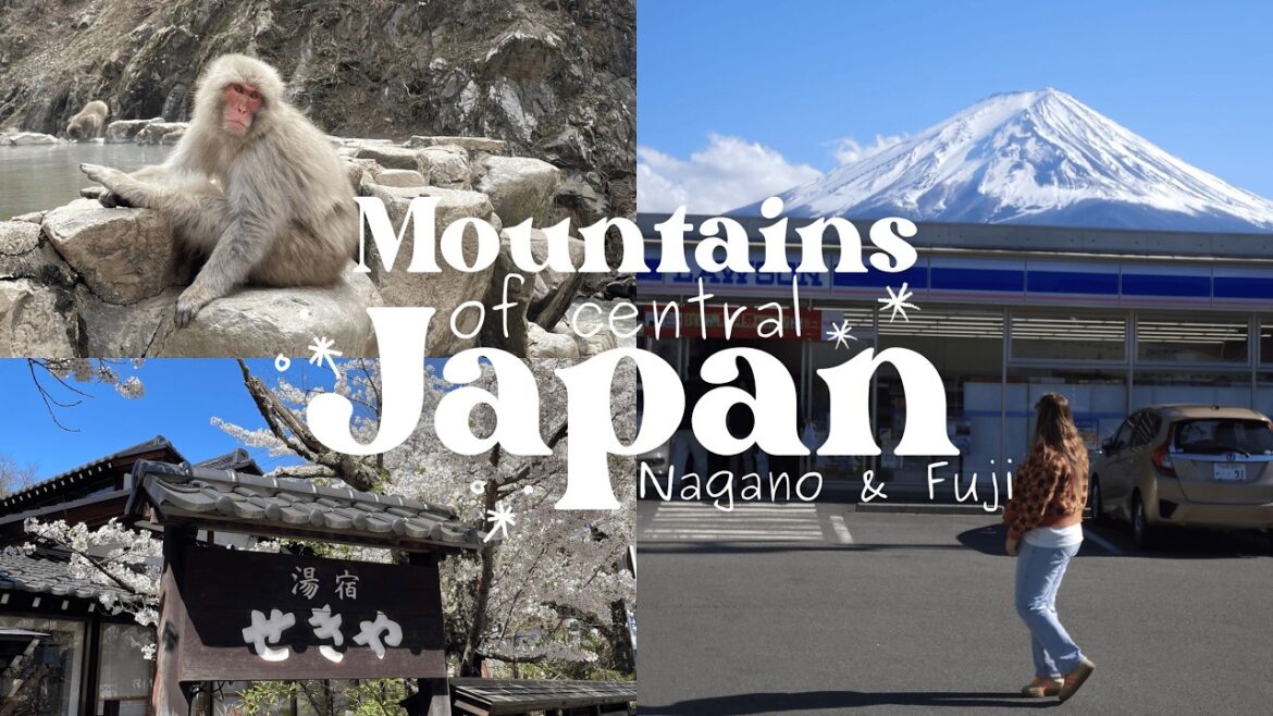 mountains of central Japan: snow monkeys in Nagano & stunning views of Fuji at Kawaguchiko mountains of central Japan: snow monkeys in Nagano & stunning views of Fuji at Kawaguchiko