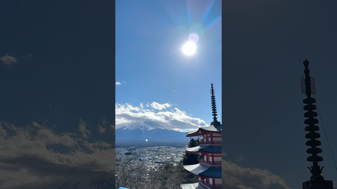 perfect spot to take in the breathtaking beauty of Mt. Fuji! 🗻 #mountfuji