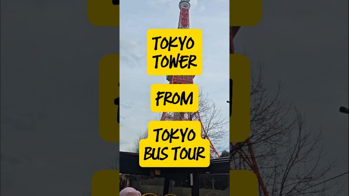 TOKYO TOWER VIEW FROM TOKYO BUS TOUR #shorts #travel #tokyo #japan