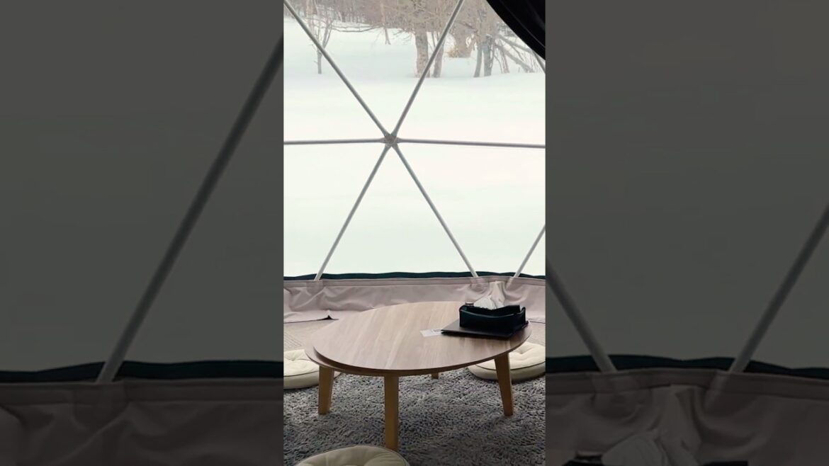 Winter Glamping in Hokkaido! #shorts #glamping #japan #japantravel #snow #winter #travel