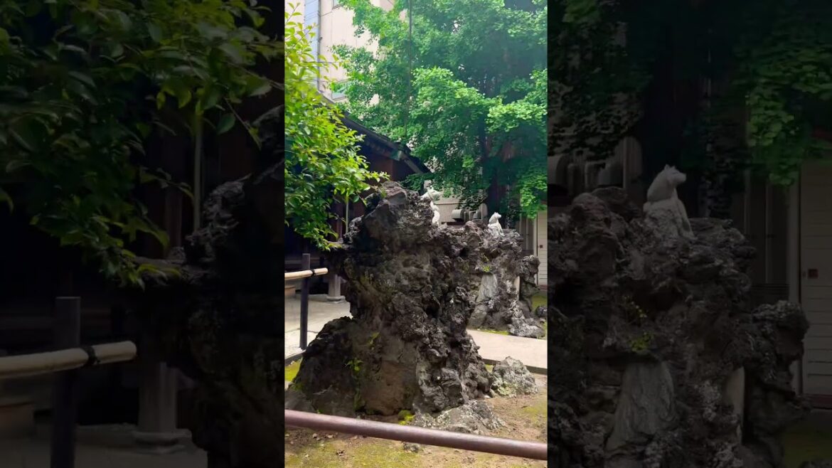 Japan Funabashi #travel #thepublictraveler #asiantravel #train #worldexplorer #japantravel #nature