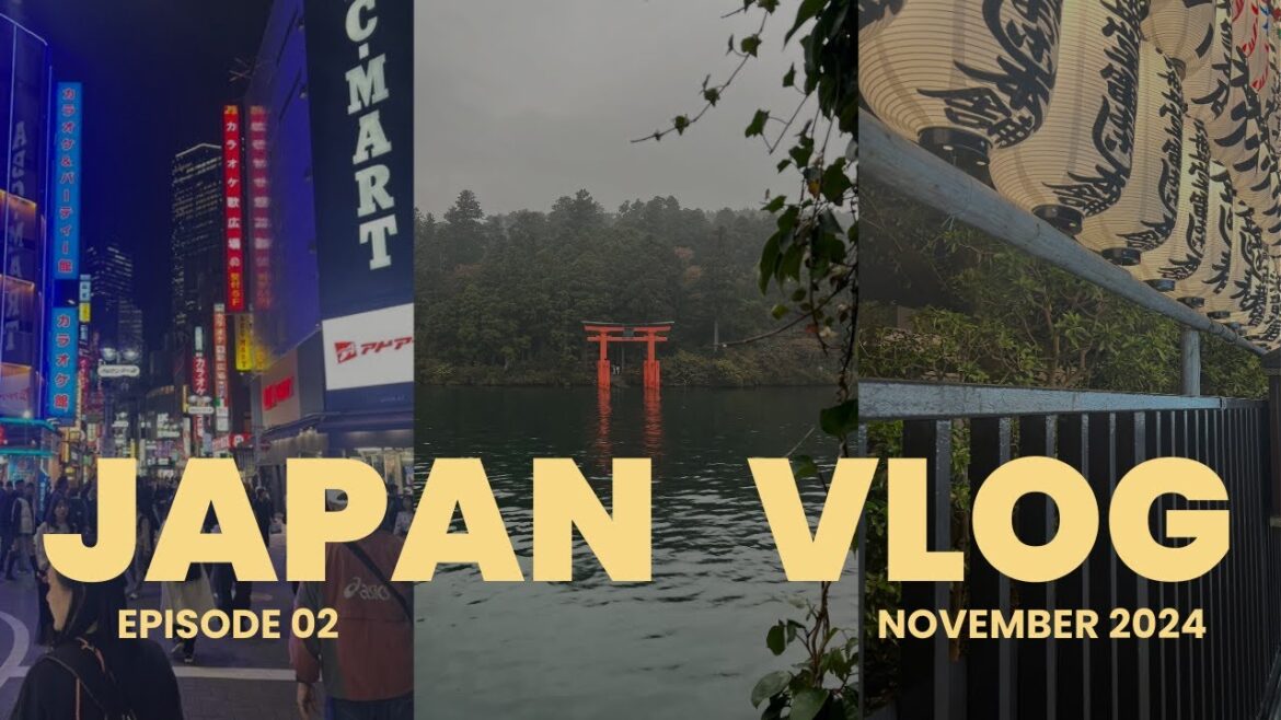 JAPAN VLOG #2: Tsukiji fish market, Tokyo Tower, Shibuya Crossing, Mt Fuji & Hakone tour