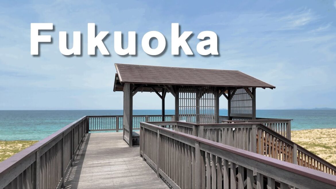 조금 더 특별한 후쿠오카 여행 하루코스!🚂 우미노나카미치 해변공원, 고쿠라, 모지코 야경