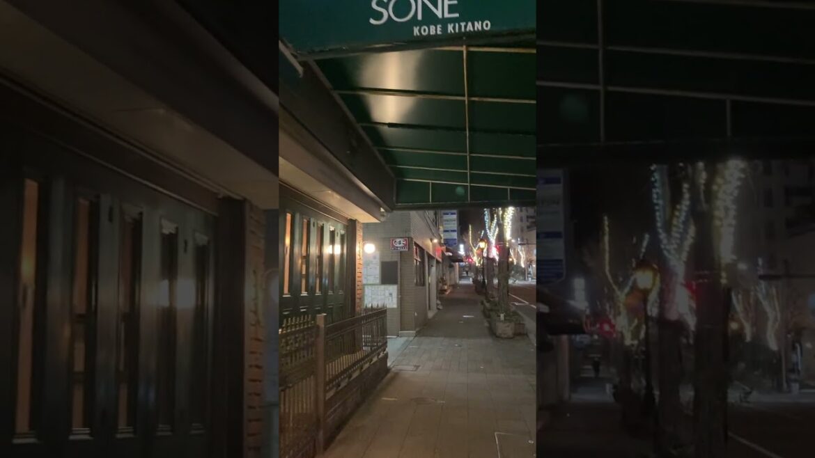 2545 Sannomiya, KOBE