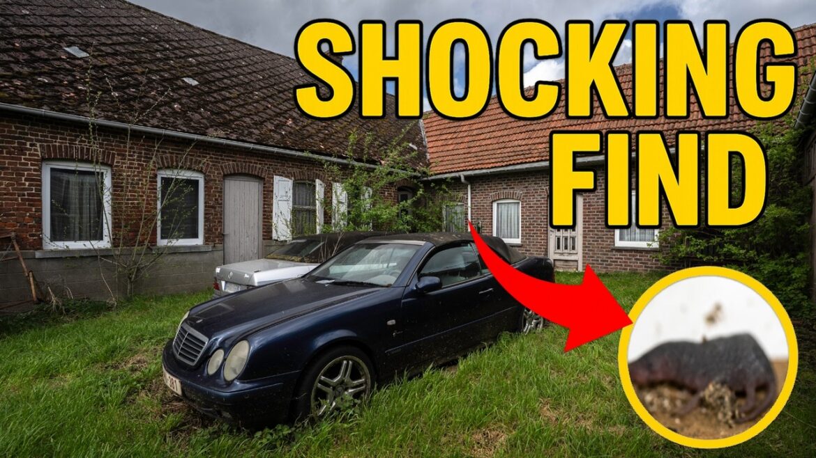 Something's Still Alive in this ABANDONED House!