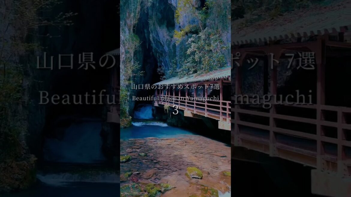 山口県のおすすめスポット7選 – Beautiful place in Yamaguchi, Japan 🇯🇵 山口県のおすすめスポット7選 - Beautiful place in Yamaguchi, Japan 🇯🇵