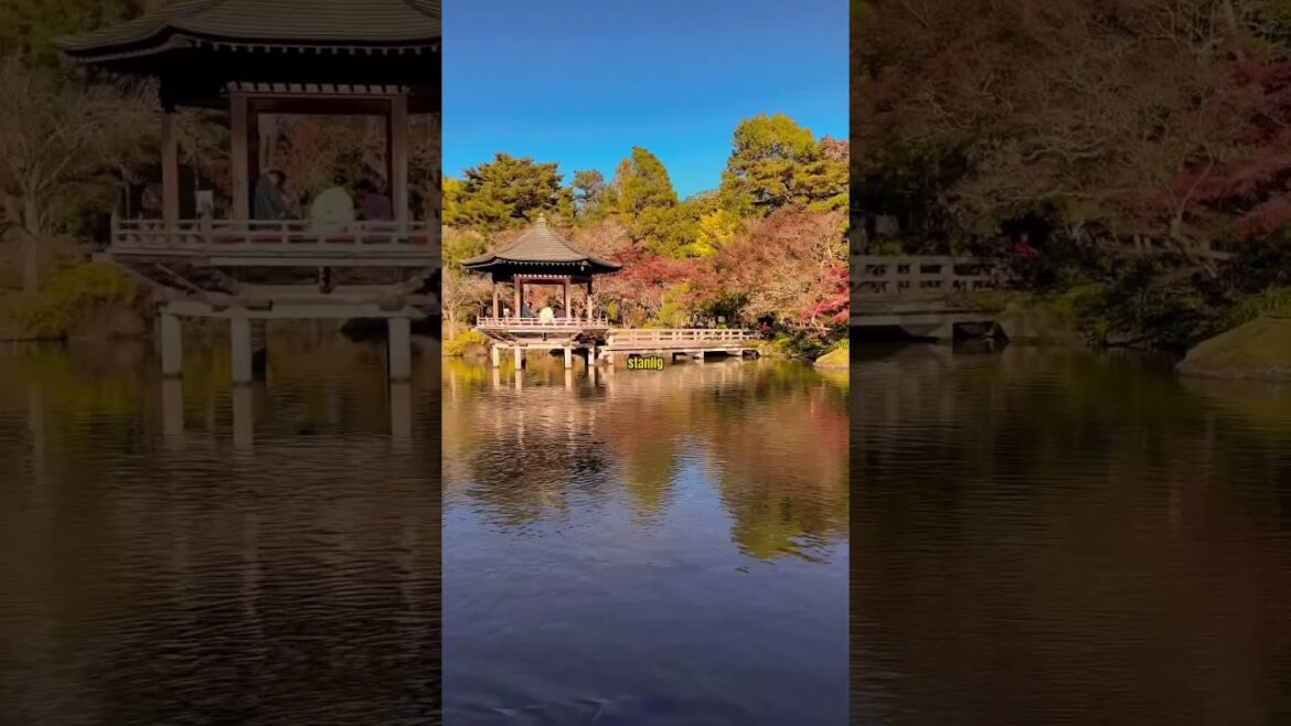 NARITA SAN PARK, CHIBA JAPAN (AUTUMN SEASON)