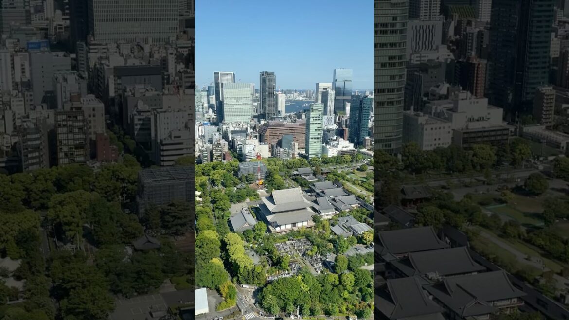 Beautiful Tokyo #japantours #travel