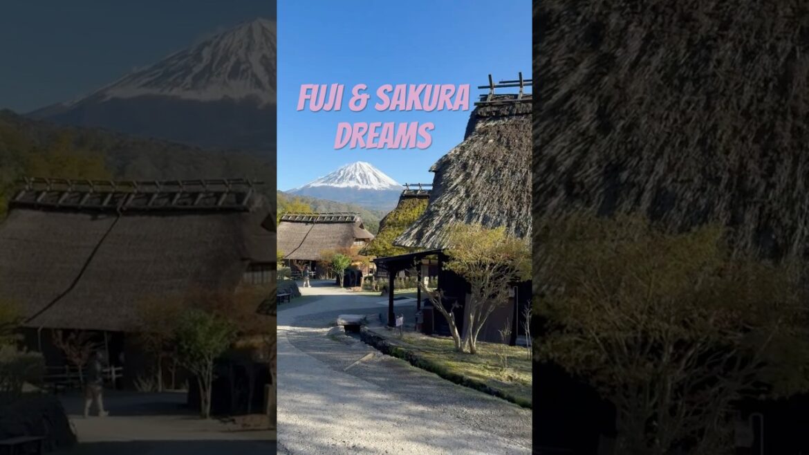Cherry Blossoms & Mt. Fuji | Take Me Home – Saiko Nenba Village #shorts