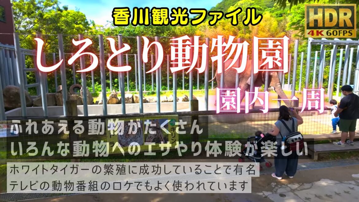 しろとり動物園 園内一周 #香川観光ファイル