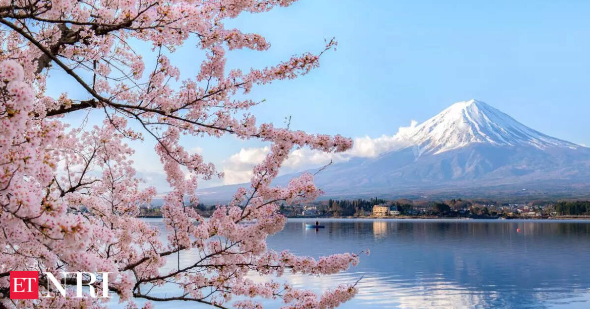 Japanese tourism statistics: Japan tourism hits record high in April as 3.9 million visitors drive 28.5% surge Japanese tourism statistics: Japan tourism hits record high in April as 3.9 million visitors drive 28.5% surge