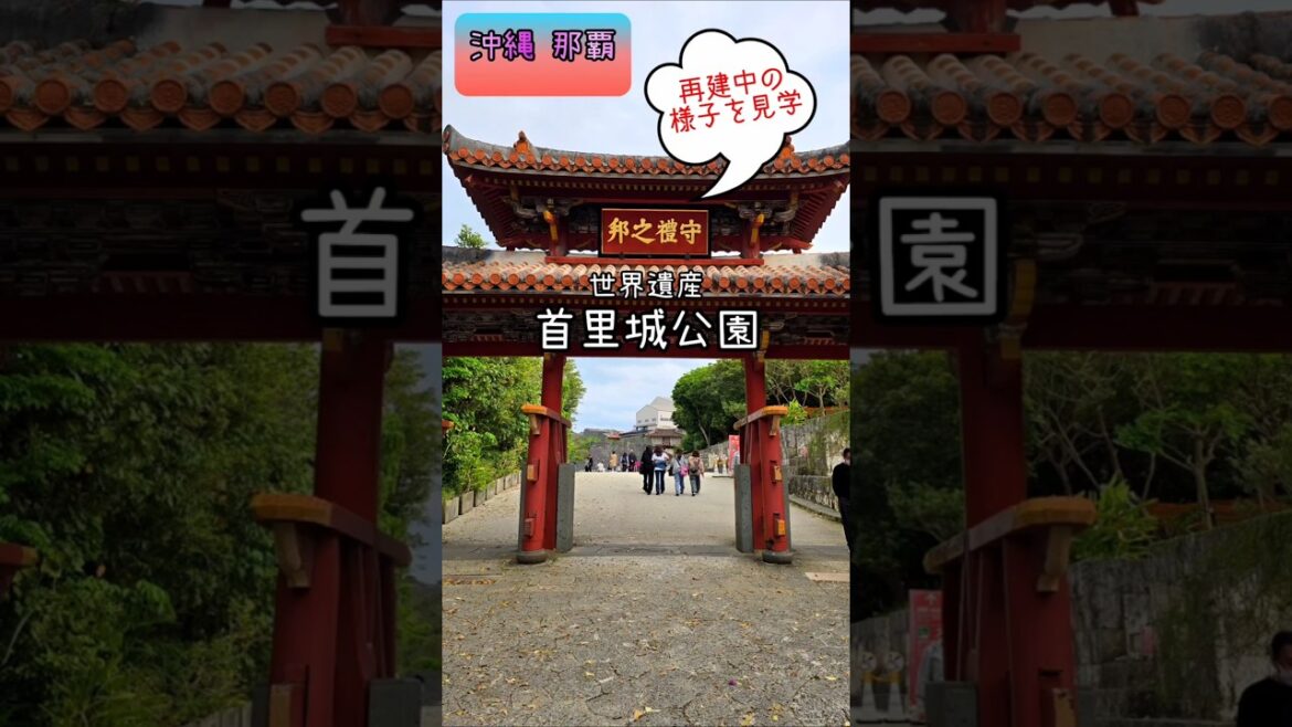 【一人旅】〈世界遺産〉再建中の首里城を見学ツアー　#shorts #沖縄 #観光