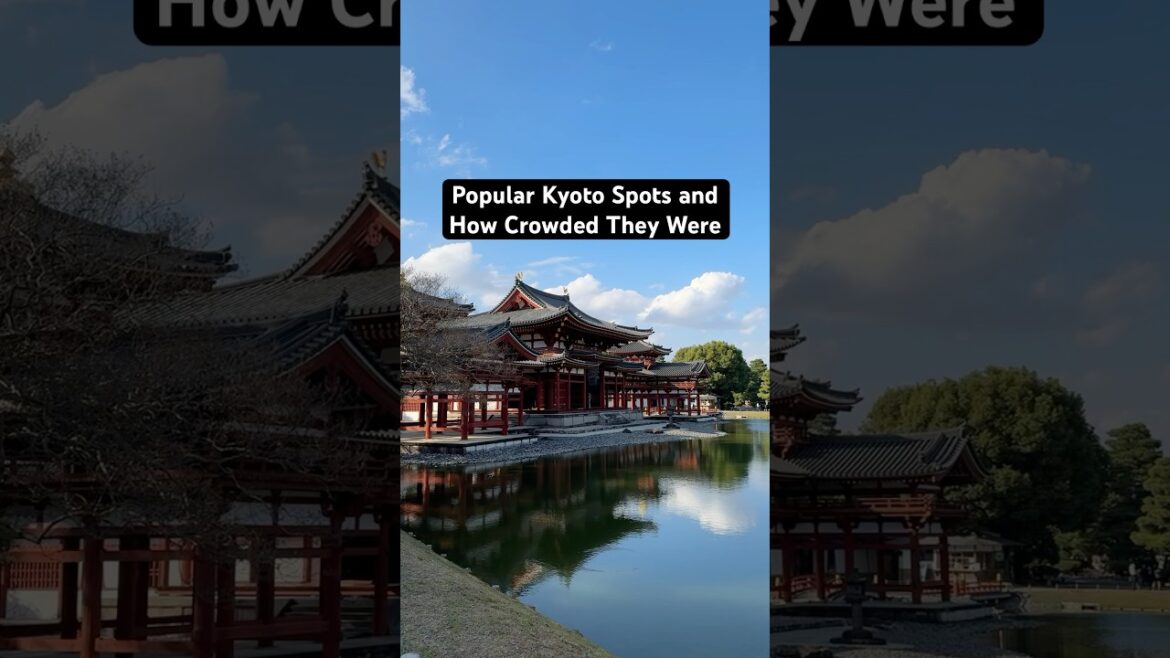 Popular Kyoto Spots and How Crowded They Were | #kyoto #kyototrip #kyototravel Popular Kyoto Spots and How Crowded They Were | #kyoto #kyototrip #kyototravel