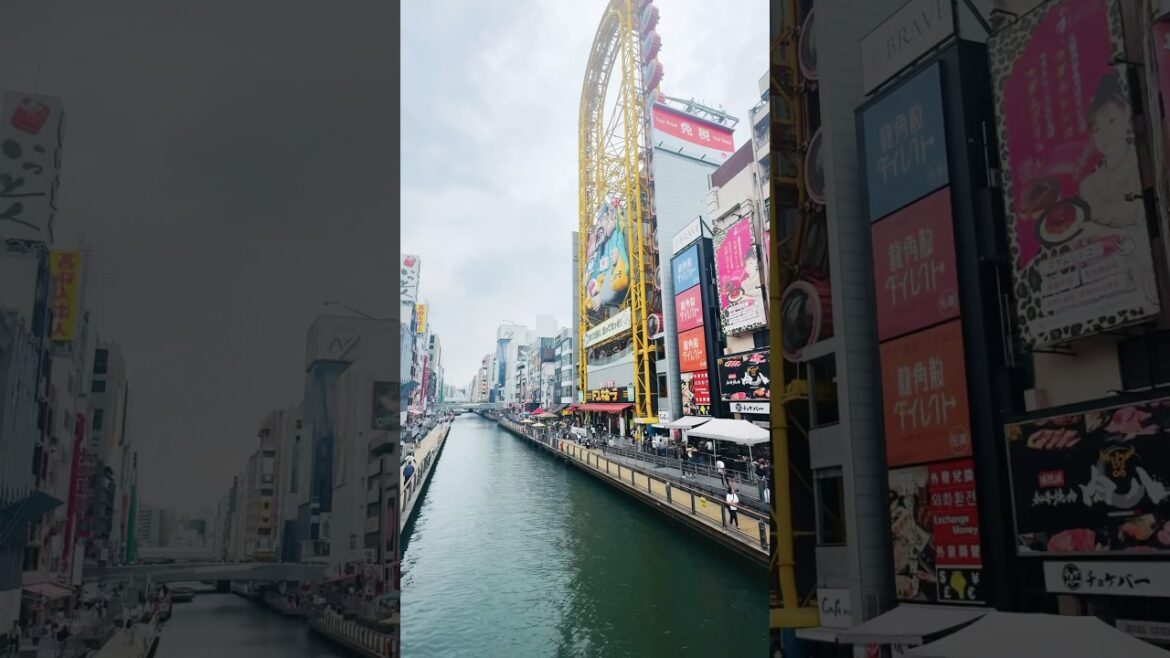 The famous Dotonbori in Osaka🇯🇵#japan #travel #amazing #osaka #asia #beautiful #best