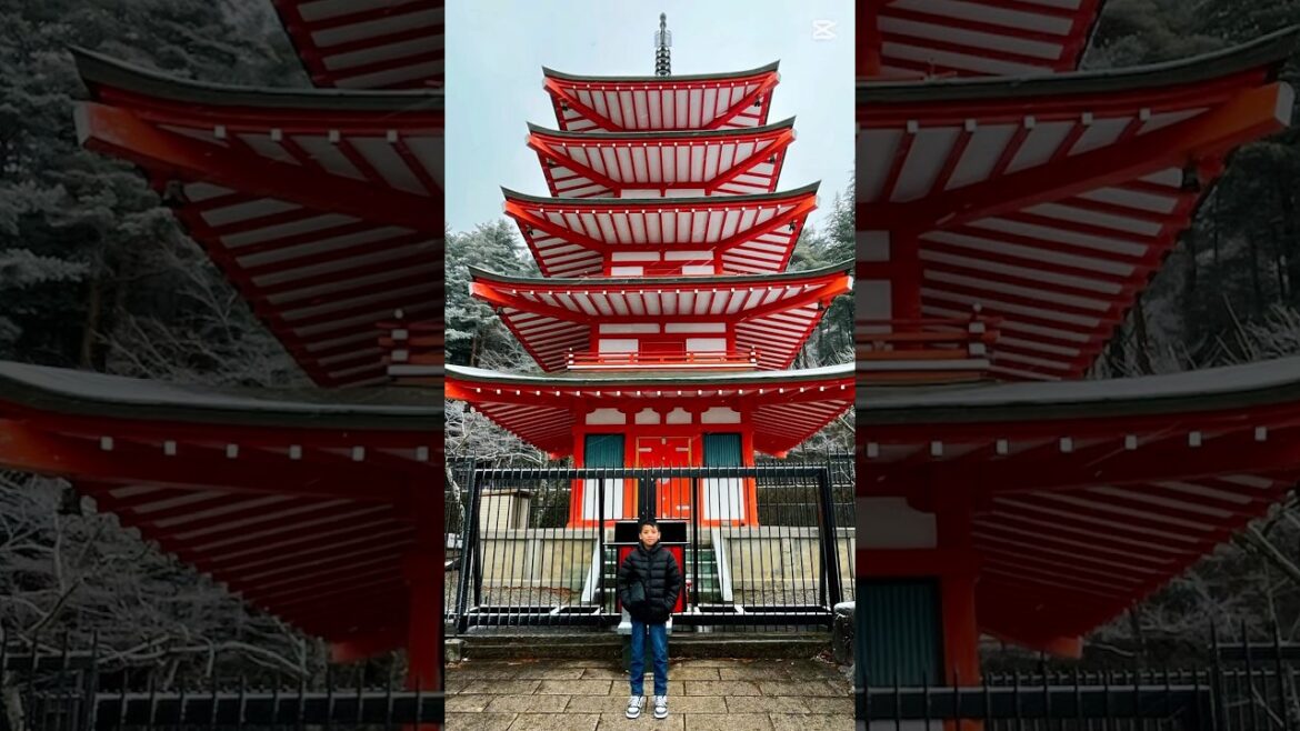 Japan Tour Day 1 🎌 #japantravel #japantour #traveljapan #familytravel
