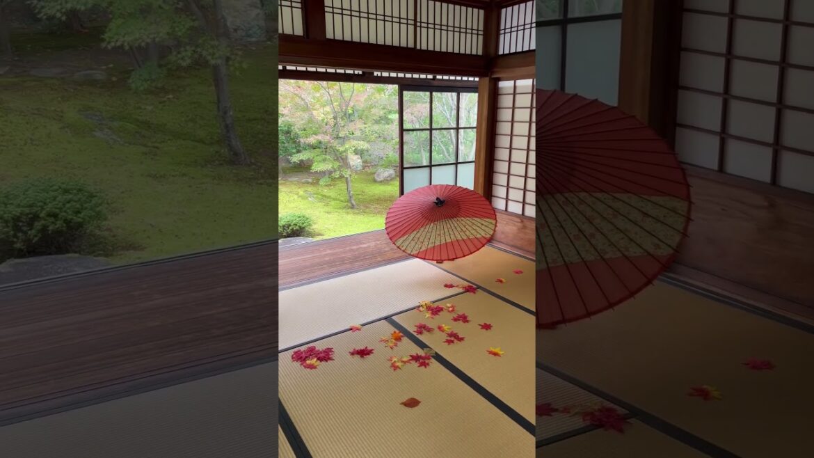 【KYOTO】 Must-See Less Crowded Spot - Shorinji Temple