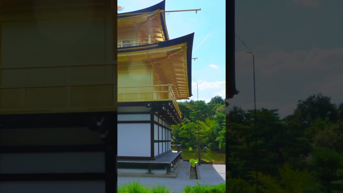 🌟 Golden Pavilion Temple Kinkakuji Temple Kyoto Japan 🌟 #japan #kyoto #travel #discoverjapan