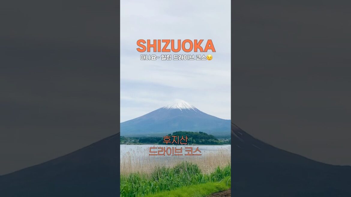 ✨렌트카 빌려서 떠난 시즈오카 감성 드라이브 코스 #도쿄근교여행 #시즈오카 #일본여행 #shorts