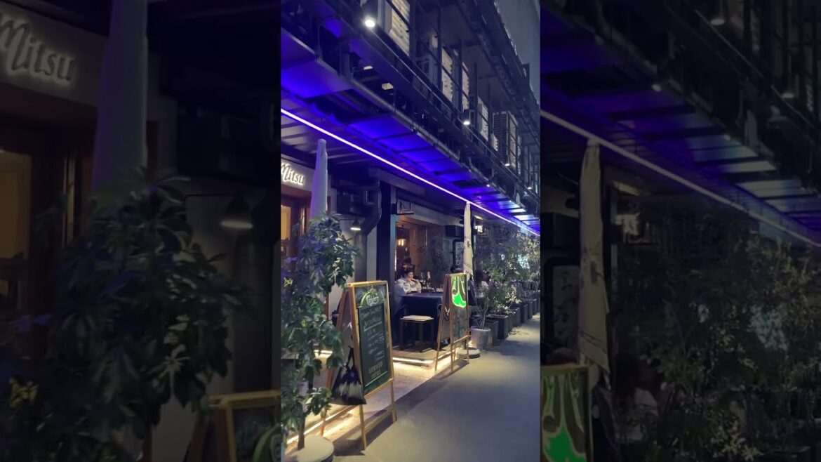 2541 Sannomiya, KOBE