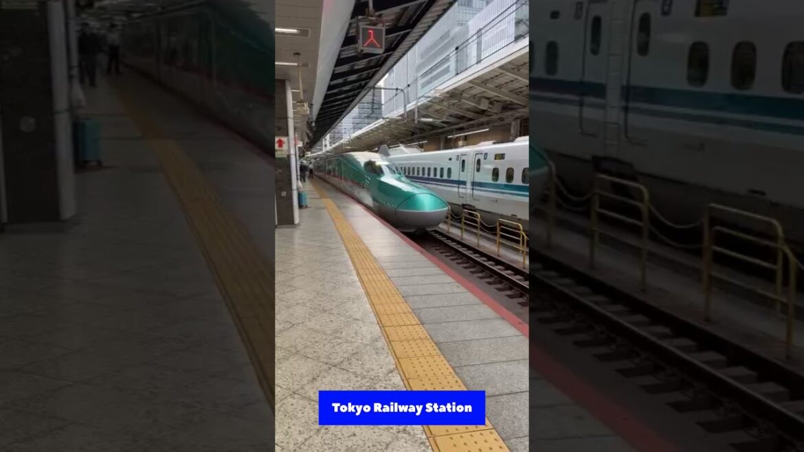 #71.  In Shinkasen Tokyo to Osaka #travel #youtubeshorts #shinkansen #tokyo