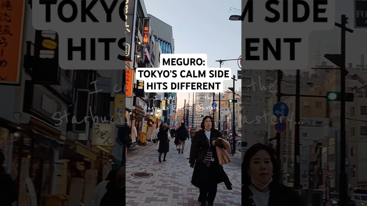Meguro Walk | Tokyo’s Chill Side Meguro Walk | Tokyo's Chill Side