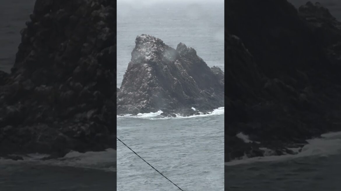 Heavy Rain With Waves #trending #japantravel #milesnsmiles #japan