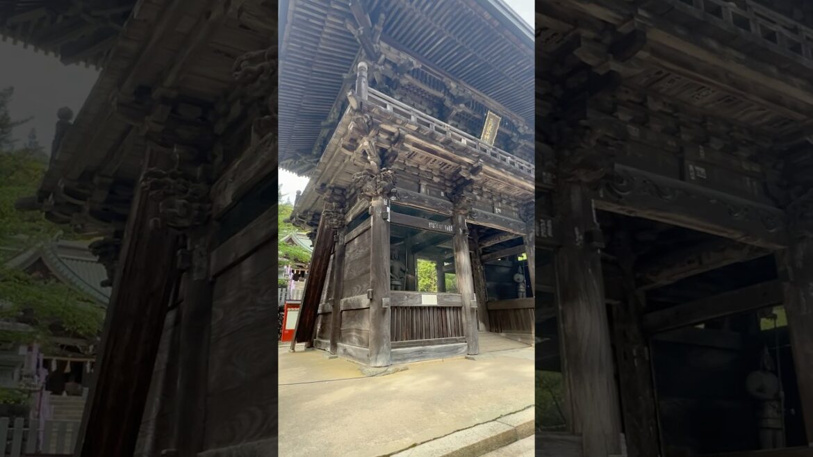 Mt.Tsukuba temple #nature #travel #jafunadventure