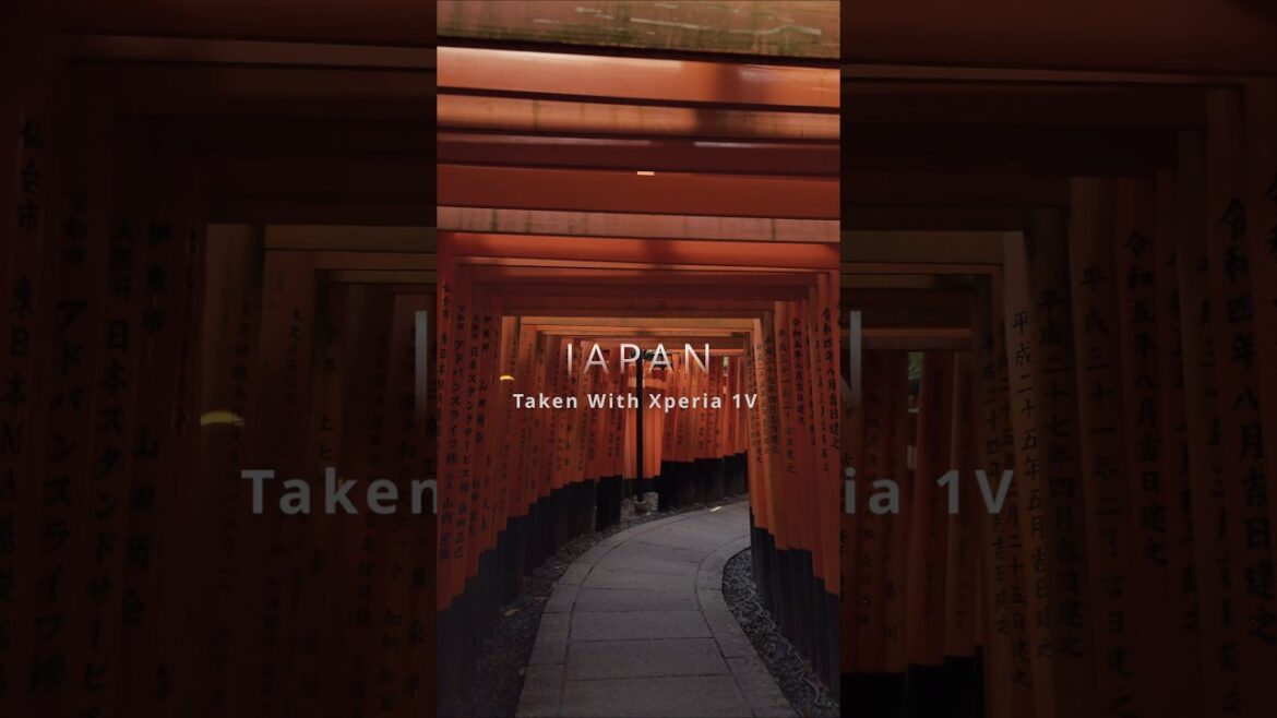 The ultimate excitement for everything in Japan.Taken with Xperia 1V.#japan #travel #sony #xperia