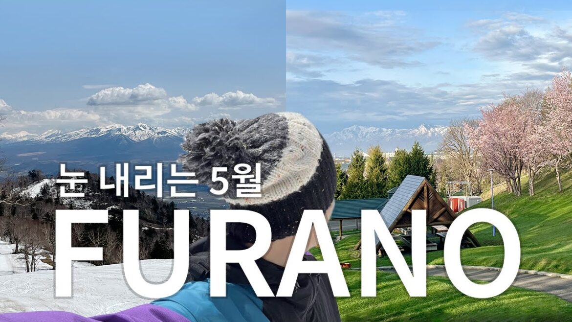 [TRAVEL] 🇯🇵 5월 후라노 여행 / 눈 덮인 산 위에서 스노보드 타고 벚꽃 아래 캠핑까지 즐기기 / 후라노 리조트 / 히노데 공원