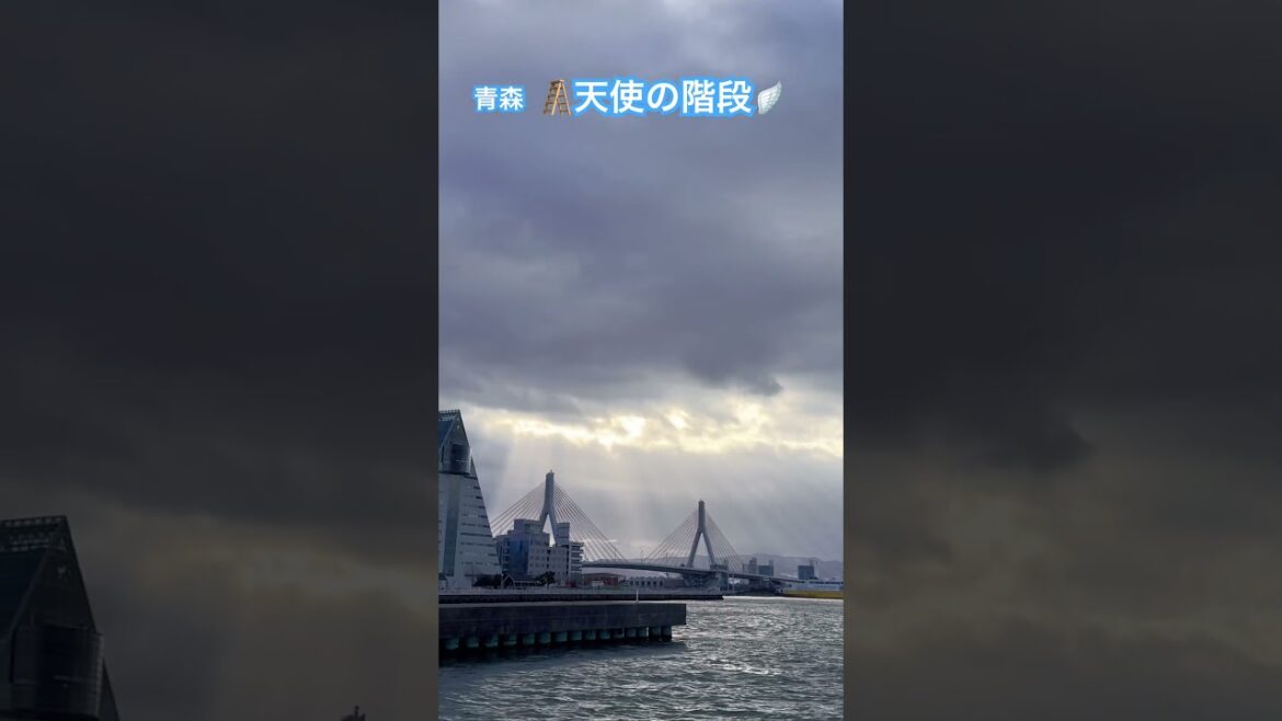 皆んなに幸あれ✨　#青森 #japan #1人旅 #東京青森往復1万円旅　#shorts  246 #pleasesubscribe