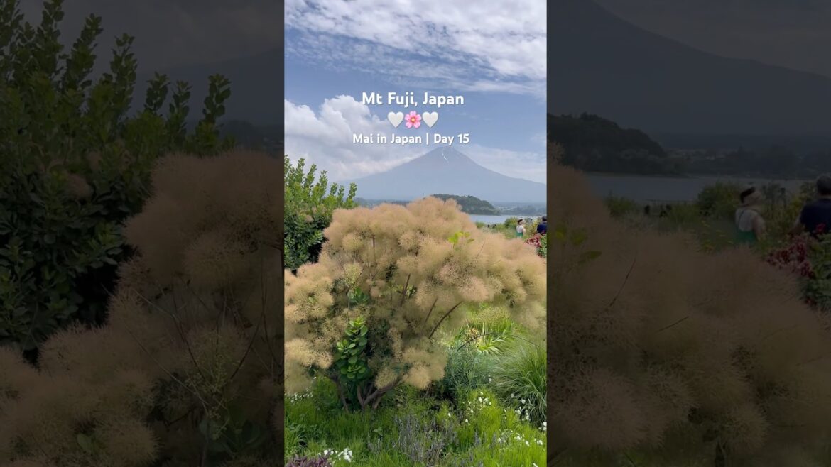 Mai in Japan | Day 15 | Mt Fuji