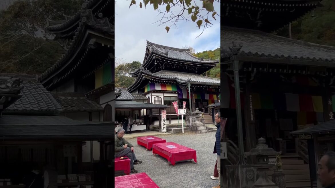 【KYOTO】 Must-See Hidden Gems - Imakumano Kannonji Temple