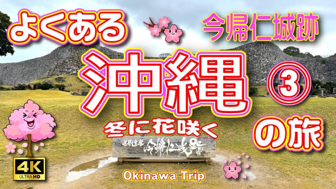 【沖縄旅行】冬に花咲く沖縄3泊4日の旅③（2日目後編）雨降る今帰仁城跡で日本一早咲きの寒緋桜を見る🌸&羽地の駅でニューハーフ♥【沖縄観光】Vol.135　[SUB/4K]