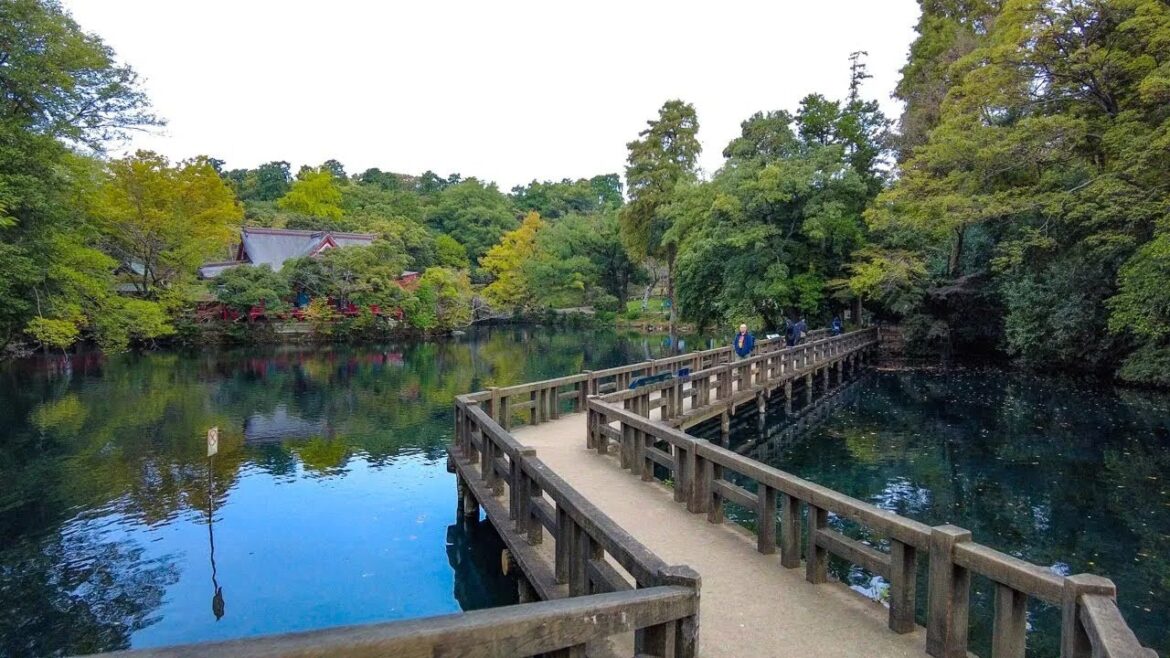 π―π΅ Japan Walking Tour – Tokyo Inokashira Park | 4K HDR π―π΅ Japan Walking Tour - Tokyo Inokashira Park | 4K HDR