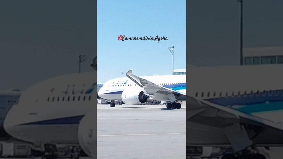 Japan Airlines ANA Dream Liner Boeing 789 Holiday Tour 😃🛫 #munich #aviation #airport