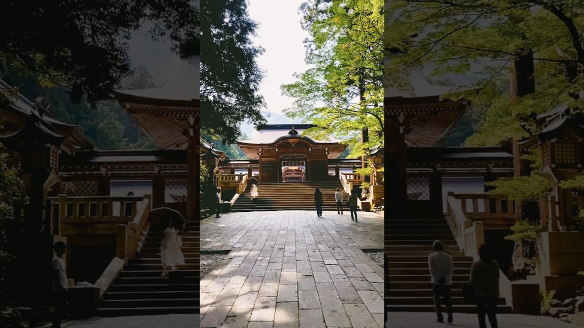 Guess Where This Beautiful Shrine Is? Shrine in JAPAN 🇯🇵