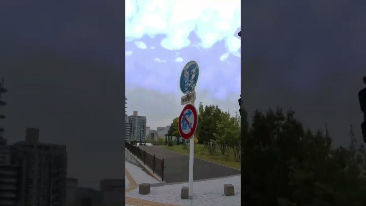 Tour the city on the Kagoshima City View Bus #japan #kagoshima #sakurajima #鹿児島 #桜島 Tour the city on the Kagoshima City View Bus #japan #kagoshima #sakurajima #鹿児島 #桜島