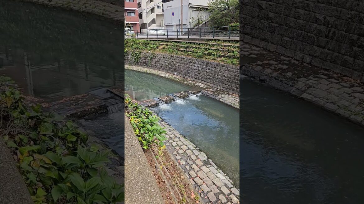 April 12th -14th 2025 Atomic Bomb Hypocenter Monument  pt 3 #japan #travel #nagasaki