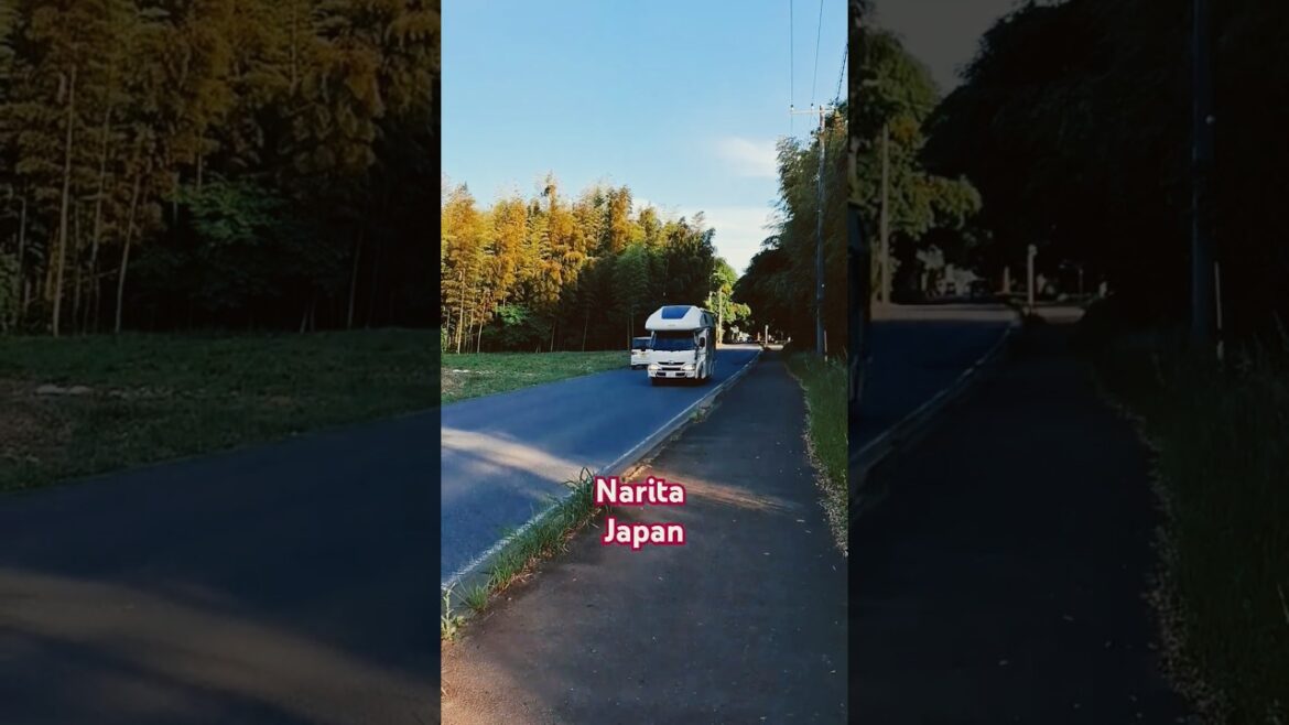 #narita #chiba #japan # #beautifulview #travellingsoldier #poojankumarlama #japantrip2025 #narita #chiba #japan # #beautifulview #travellingsoldier #poojankumarlama #japantrip2025