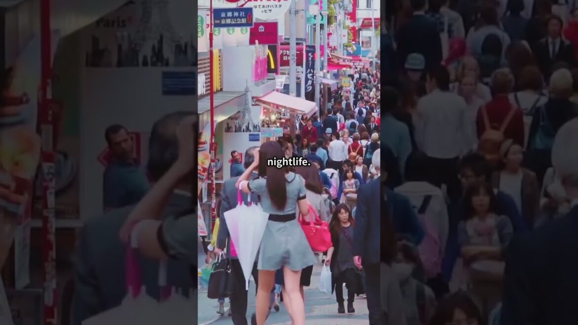 Japan is beautiful 100 %