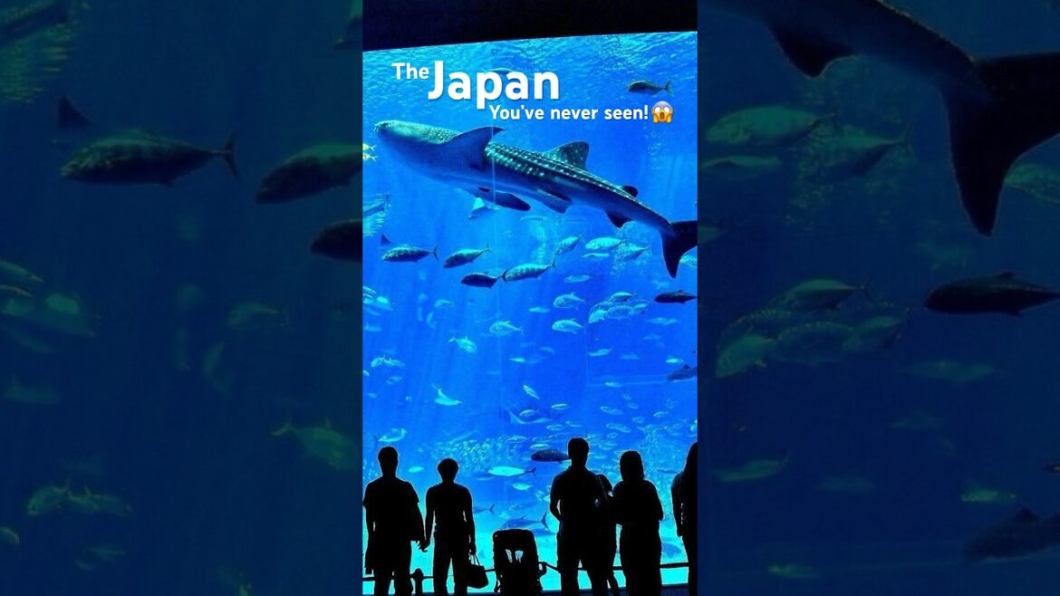 Beach Life in Japan? Welcome to Okinawa! π―π΅ποΈ Beach Life in Japan? Welcome to Okinawa! π―π΅ποΈ