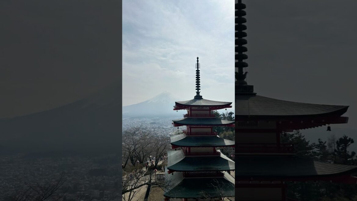 Mount Fuji, Japan. One such Majestic and beautiful mountain. #japan #travel #vlog #youtubeshorts