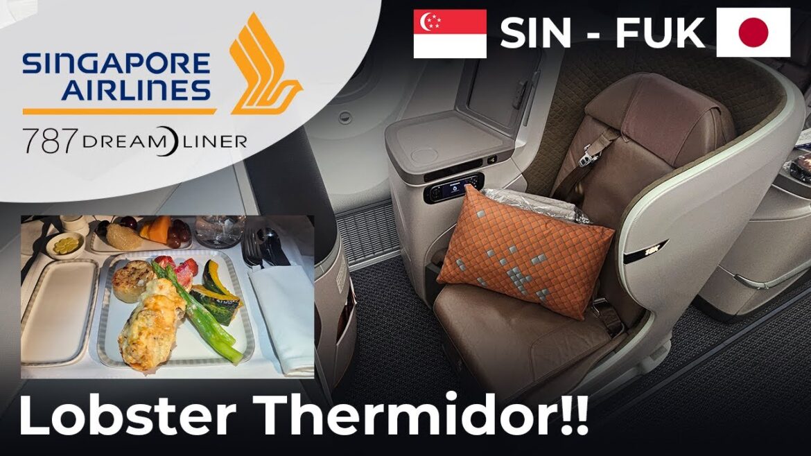 How NARROW is the seat??? | Singapore Airlines REGIONAL 787-10 Business Class How NARROW is the seat??? | Singapore Airlines REGIONAL 787-10 Business Class